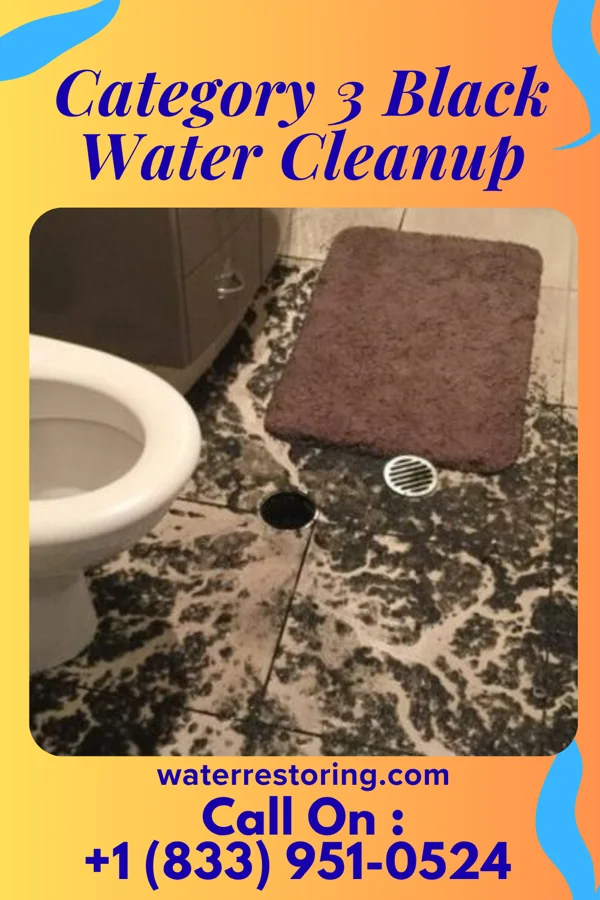 Category 3 Black Water Cleanup in Mount Gilead, OH