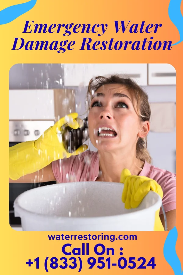 Emergency Water Damage Restoration in Mount Gilead, OH