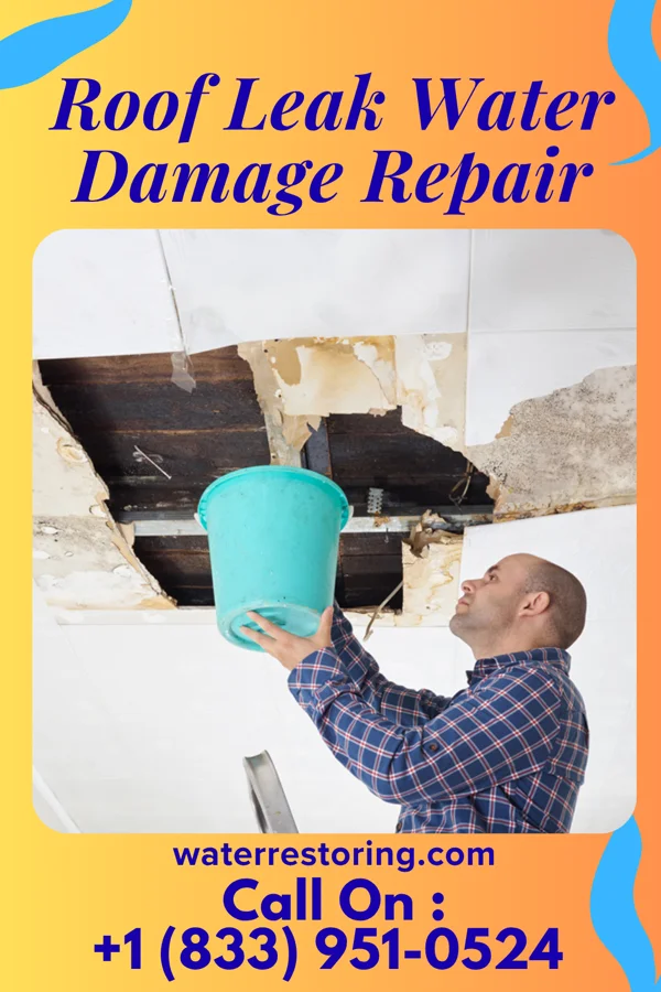 Roof Leak Water Damage Repair in Mount Gilead, OH