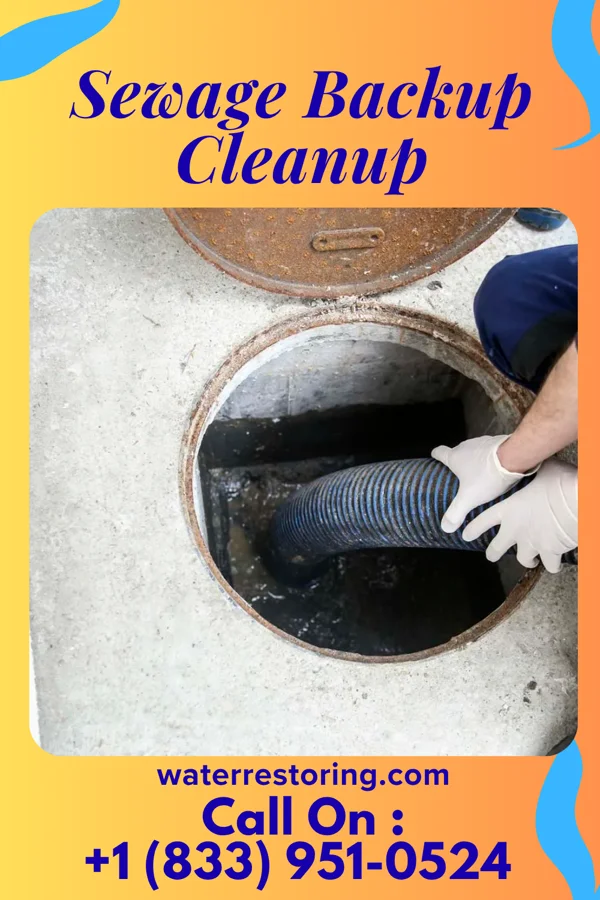Sewage Backup Cleanup in Mount Gilead, OH